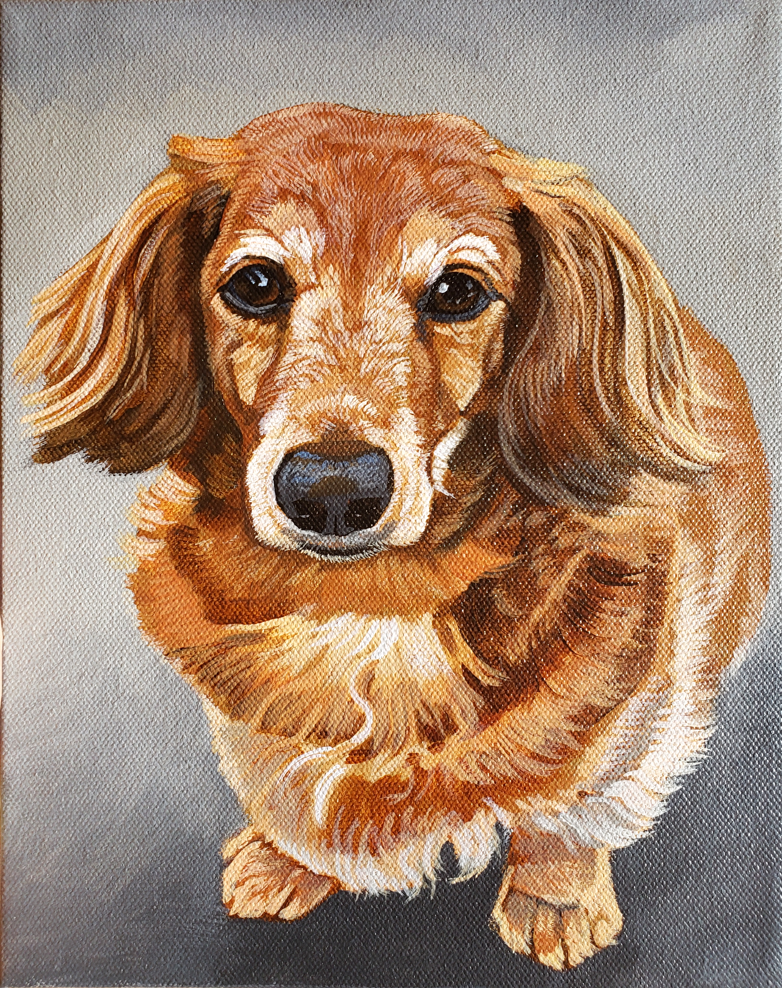 Custom Dog Pet Portrait on Canvas - Multiple Sizes Available