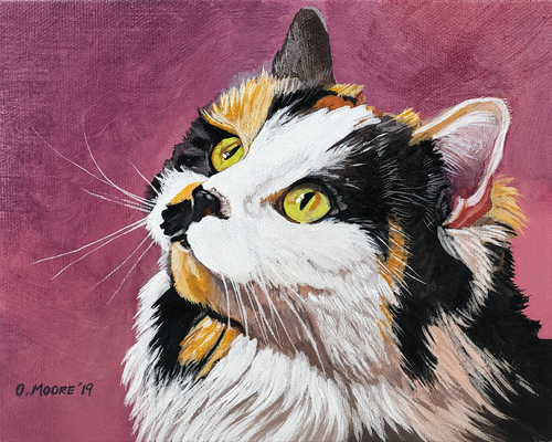 Custom Cat Pet Portrait on Canvas - Multiple Sizes