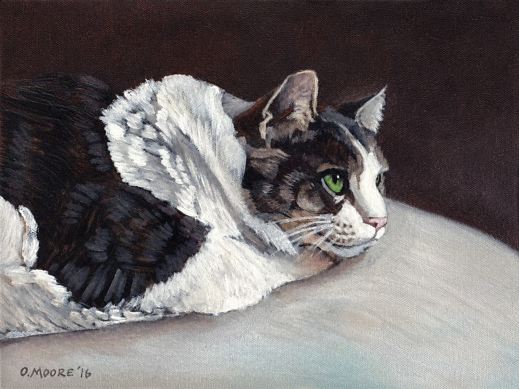 Custom Cat Pet Portrait on Canvas - Multiple Sizes