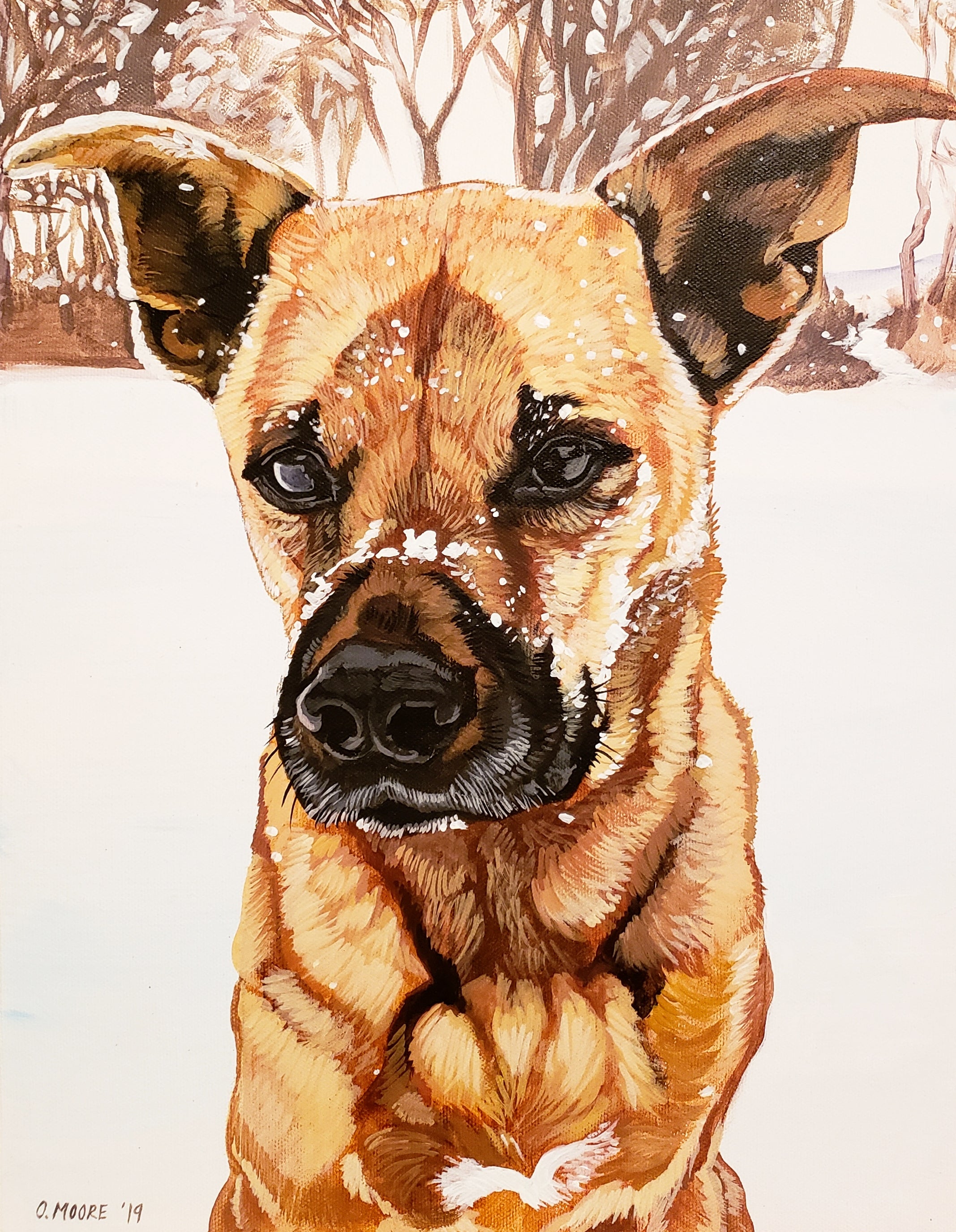 Custom Dog Pet Portrait on Canvas - Multiple Sizes Available