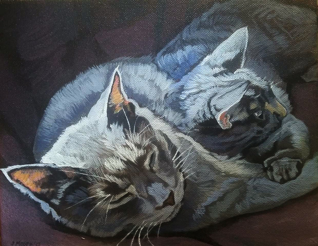 Custom Cat Pet Portrait on Canvas - Multiple Sizes